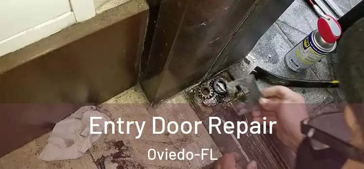 Entry Door Repair Oviedo-FL